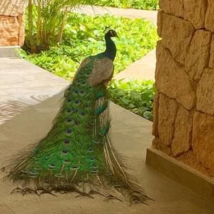 Meet your Posher, Ann